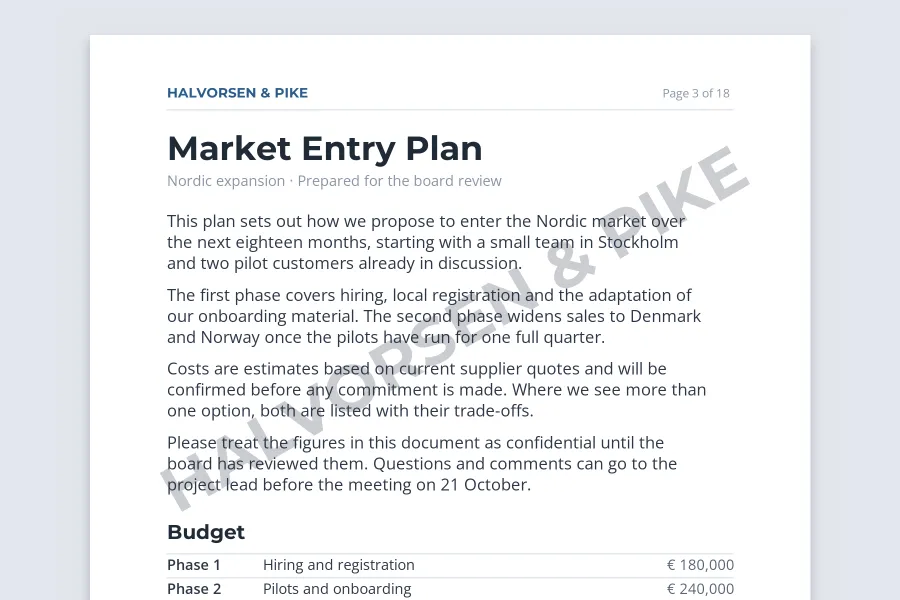 A business plan page with a clearly visible gray diagonal HALVORSEN & PIKE watermark behind the text