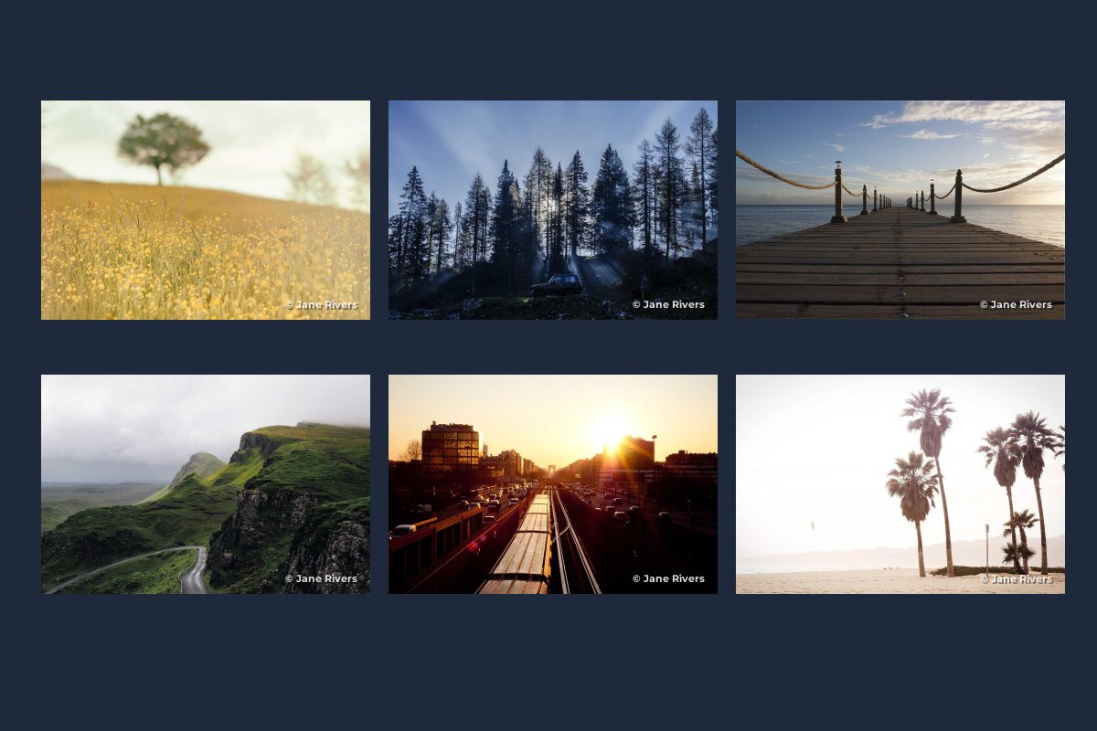 Six photos from one batch, each with the same small copyright watermark in the same corner