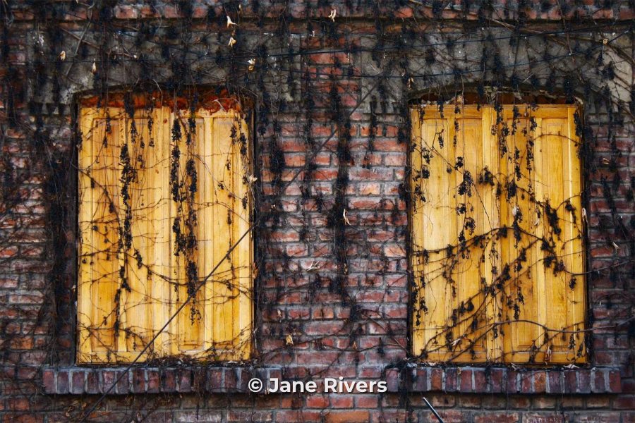 Weathered yellow shutters on a brick wall with a small © Jane Rivers credit at the bottom