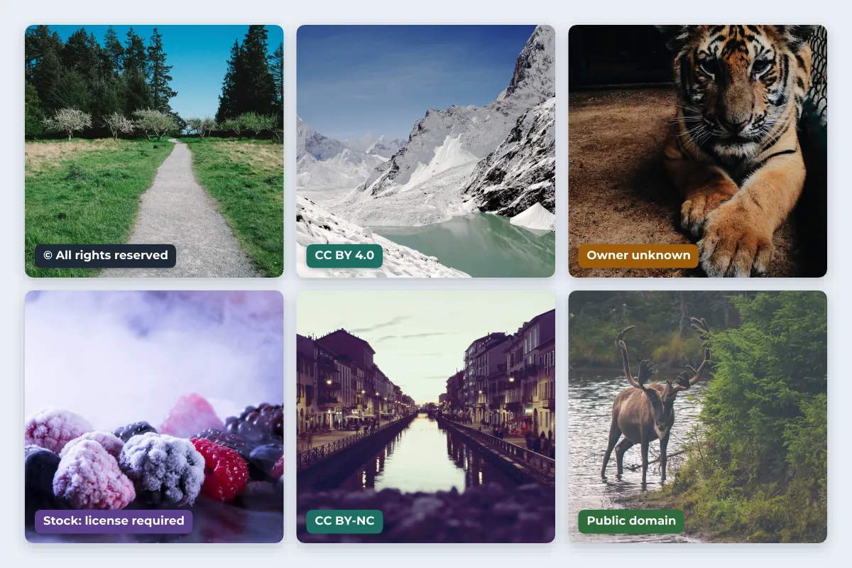 A grid of six photos, a forest path, a snowy mountain lake, a tiger cub, frosted berries, a canal at dusk and a deer in a river, each tagged with a different status: all rights reserved, CC BY 4.0, owner unknown, stock license required, CC BY-NC and public domain