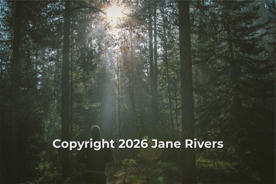 A misty forest with the watermark Copyright 2026 Jane Rivers