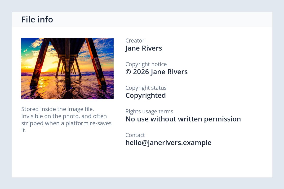 A generic file information panel listing creator Jane Rivers, copyright notice © 2026 Jane Rivers and usage terms