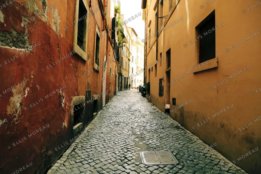 A narrow cobbled alley between ochre and red walls, covered by a faint tiled pattern of © ELLIS MOREAU at an angle