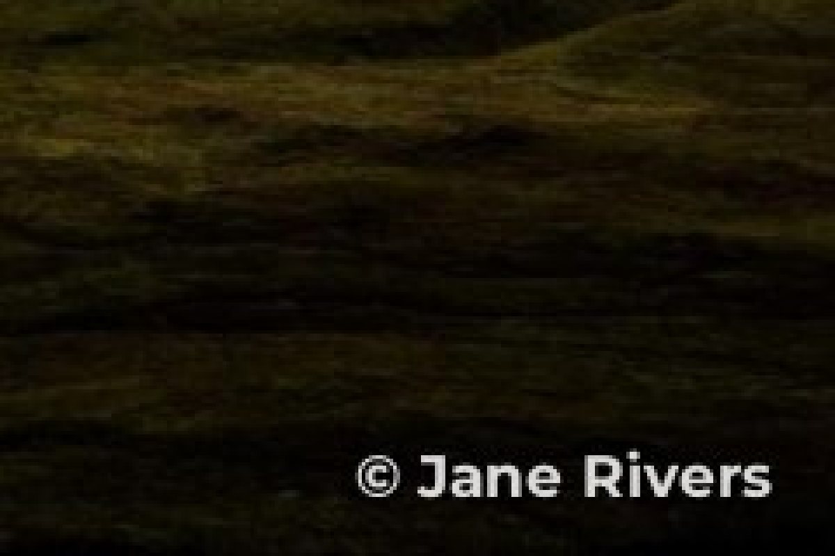 A close-up of a © Jane Rivers credit on a photo after light compression, with clean edges