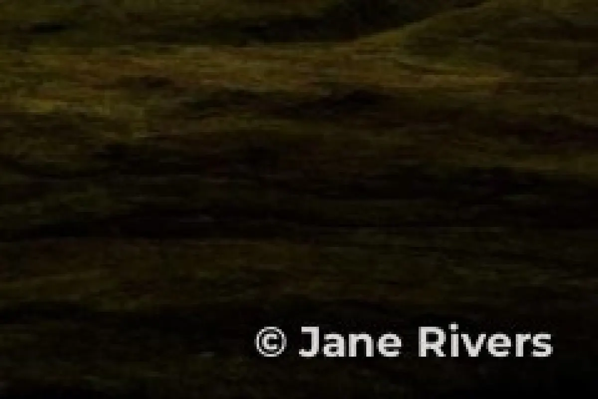 A close-up of a © Jane Rivers credit on a photo after light compression, with clean edges