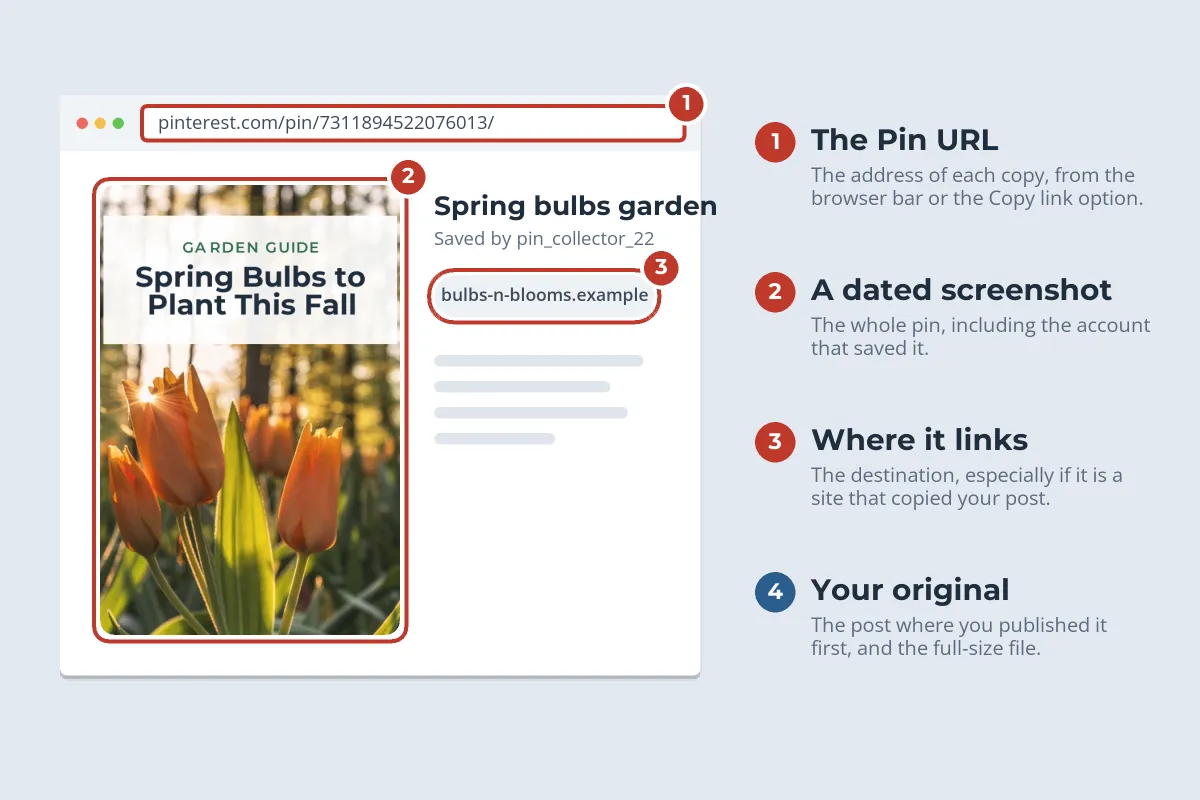 A browser window showing a stolen tulip pin, with three numbered red highlights on the pin URL in the address bar, the pin image and the link it points to, and a list of four things to save: the pin URL, a dated screenshot, where it links and your original