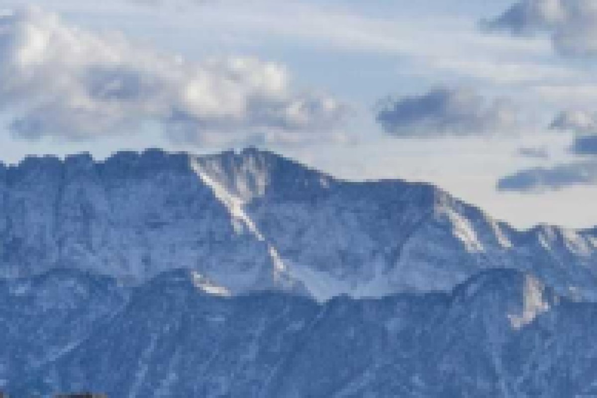 The same crop from a 1,600 pixel copy, noticeably softer