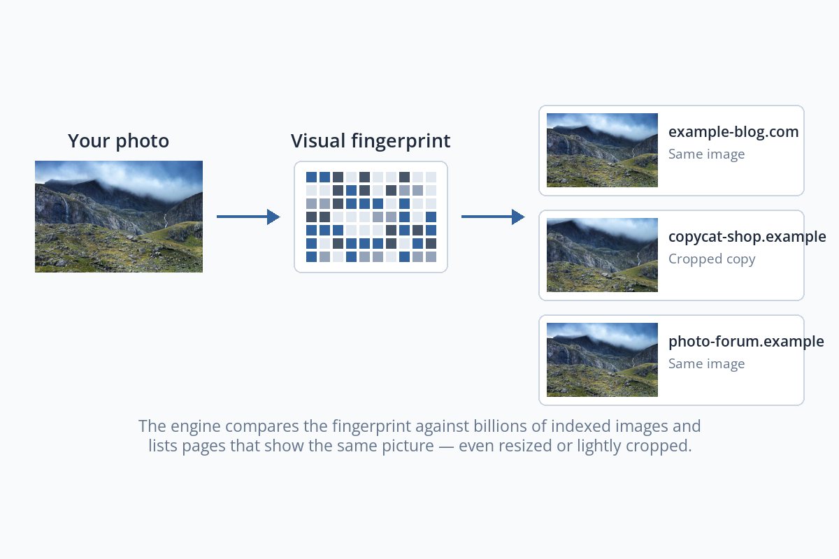 A diagram: a mountain photo becomes a grid-like visual fingerprint, which is matched to three web pages showing the same photo, one of them cropped