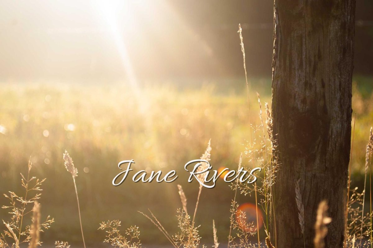 A golden meadow with a Jane Rivers signature on its own