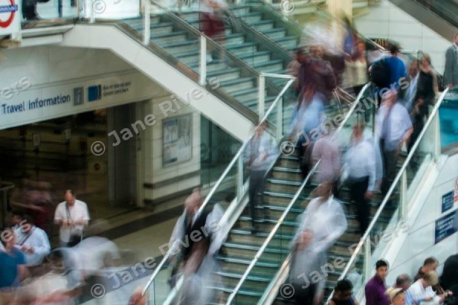 The same crop from the tiled version, still carrying several copies of the watermark