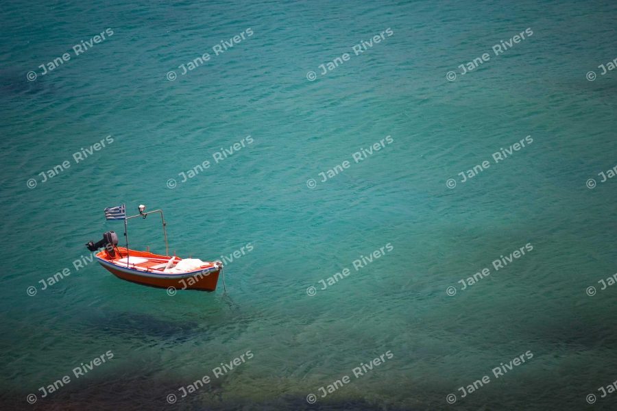 The same photo with an even pattern of watermarks and moderate gaps