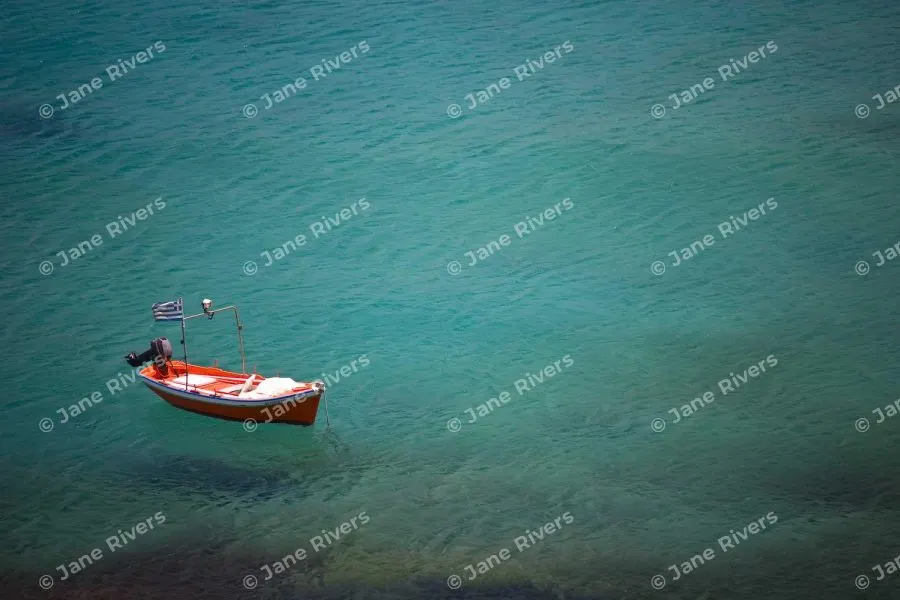 The same photo with an even pattern of watermarks and moderate gaps