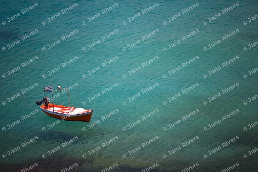 The same photo packed with watermarks almost touching each other