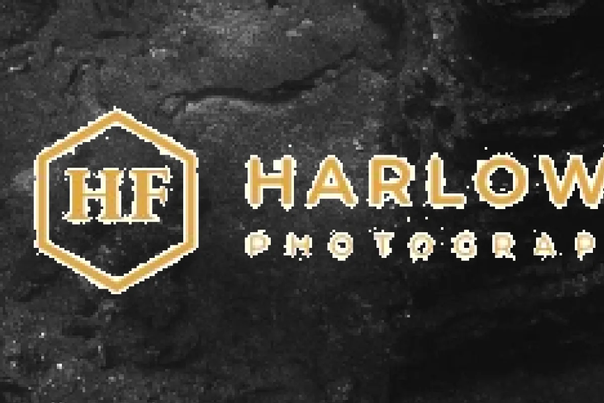 A close-up of a gold Harlow Finch logo on a dark underwater photo, with a light, ragged outline around the hexagon and letters