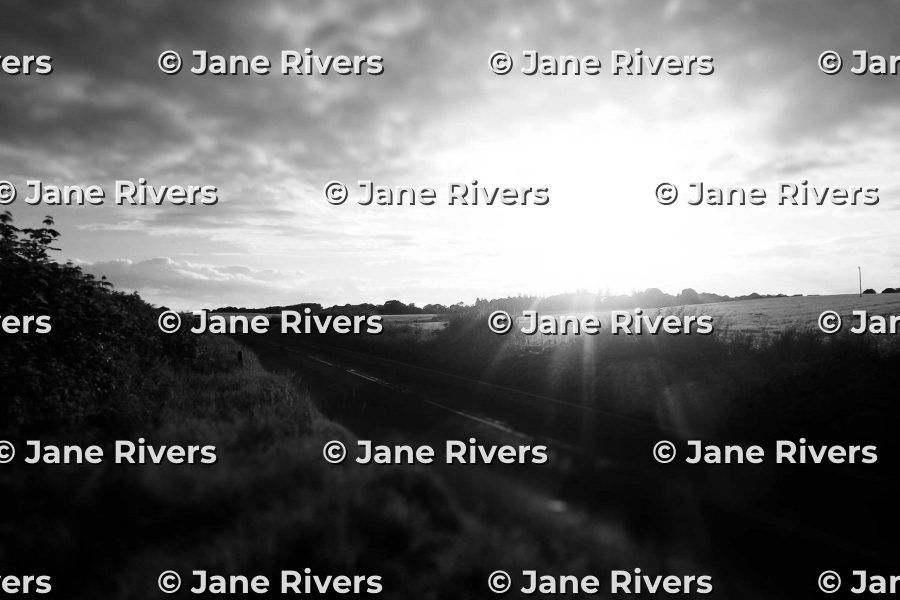 The same landscape tiled with white watermarks that have a dark shadow, readable everywhere
