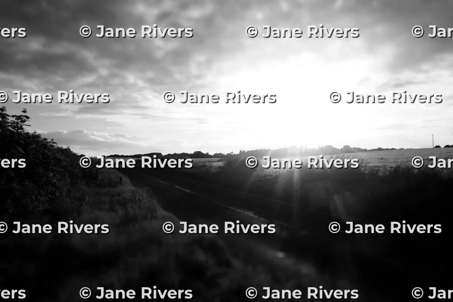 The same landscape tiled with white watermarks that have a dark shadow, readable everywhere