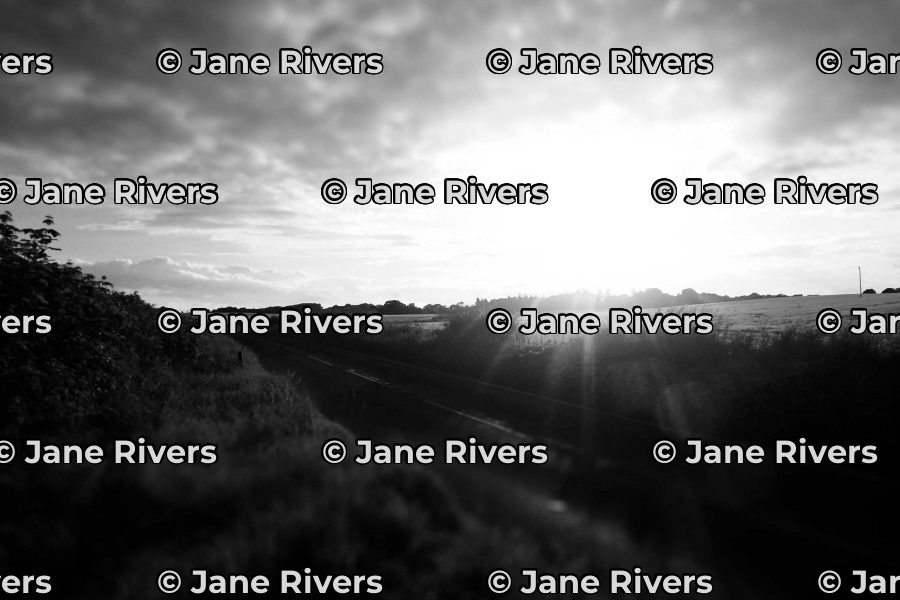 The same landscape tiled with white watermarks outlined in black, readable everywhere