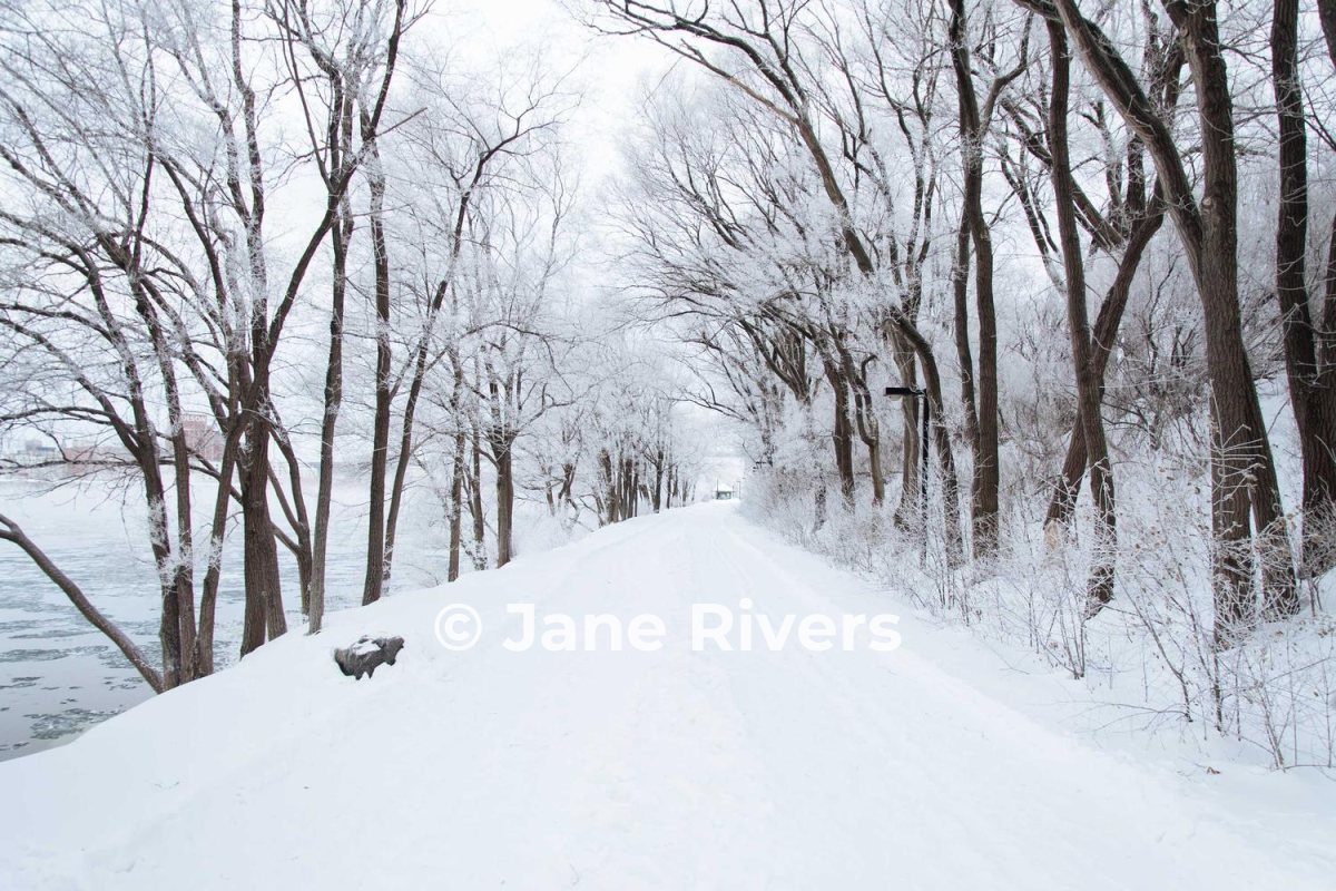 A snowy path between trees with a white watermark that barely shows