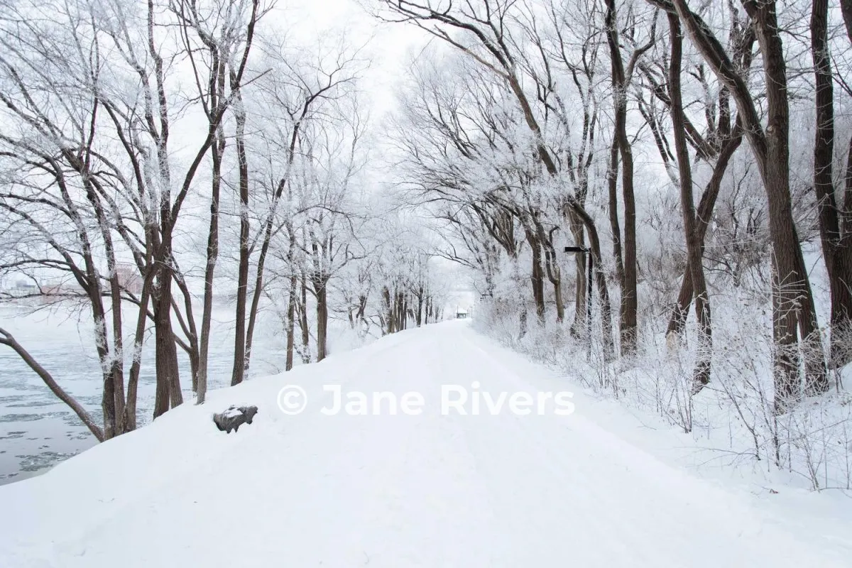 A snowy path between trees with a white watermark that barely shows