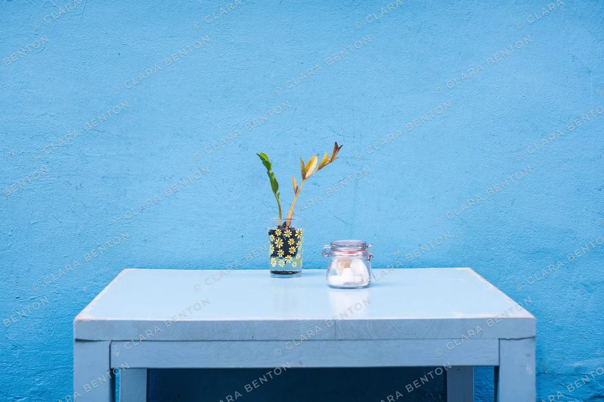 A pale blue table against a blue wall, covered with a faint repeating pattern of small © CLARA BENTON text at an angle