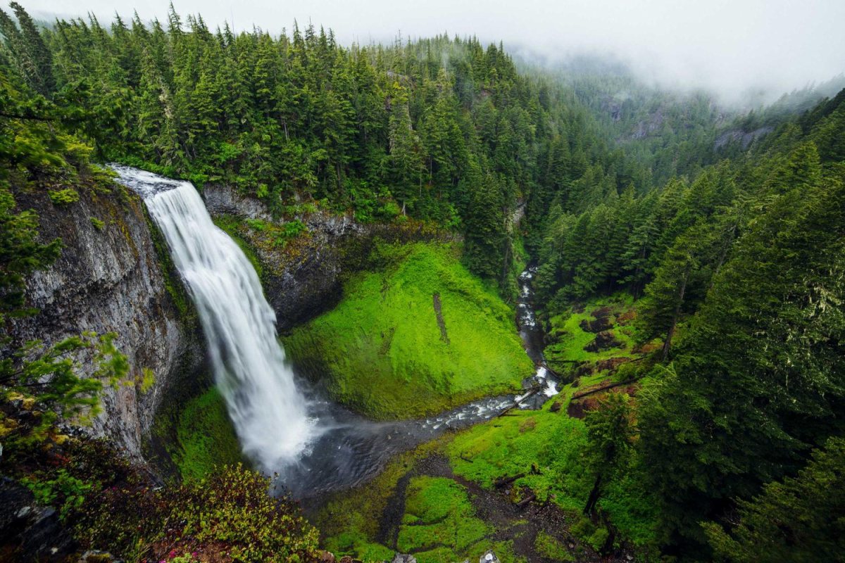 An unwatermarked photo of a waterfall in a green forest valley