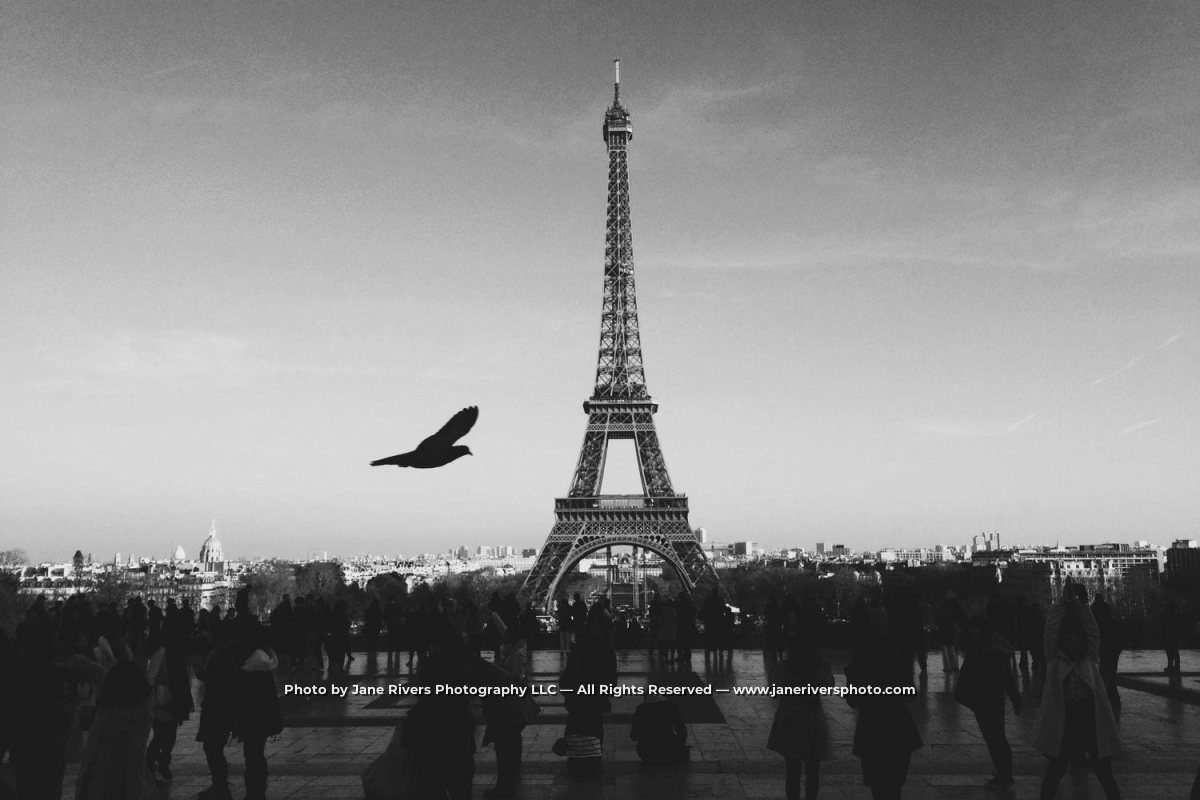 A black-and-white Paris photo with a long, tiny watermark line reading Photo by Jane Rivers Photography LLC, All Rights Reserved, and a web address