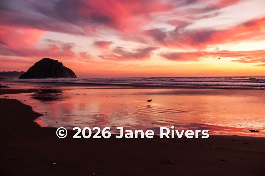 Sunset beach photo with the watermark © 2026 Jane Rivers