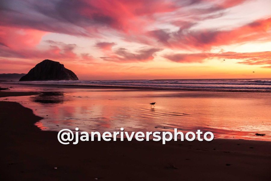 Sunset beach photo with the watermark @janeriversphoto