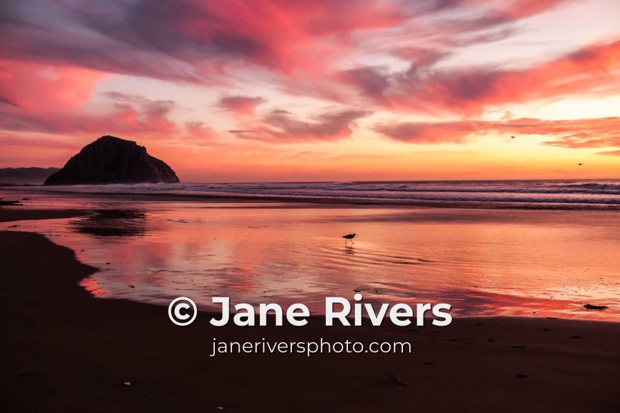 Sunset beach photo with © Jane Rivers and a web address on a second, smaller line