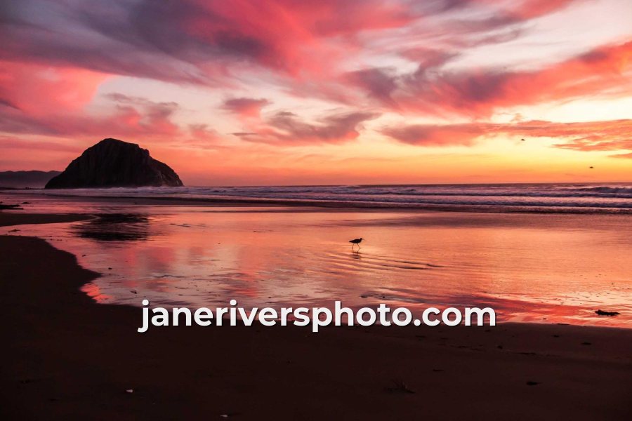 Sunset beach photo with the watermark janeriversphoto.com