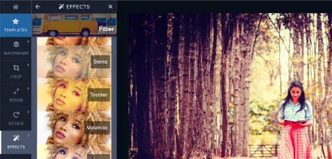 Apply photo filters online